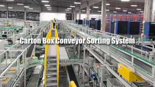 Sistema di smistamento del trasportatore di scatole di cartone 02