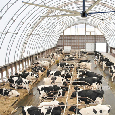 Grandi ventilatori di soffitto HVLS industriali per grandi ventilatori di officina