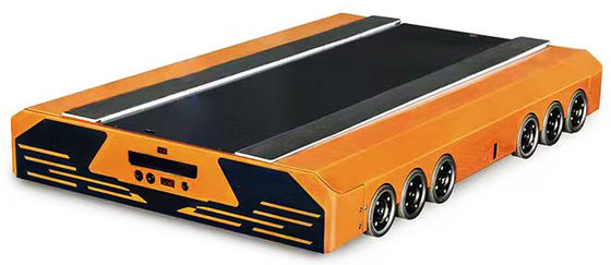 Radio Shuttle Rack magazzino magazzino sistema di rack per pallet runner rack rack per cold storage