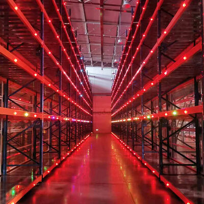 Partimenti per autoveicoli 2.5T carico Racking elettrico mobile con rotaia guidata